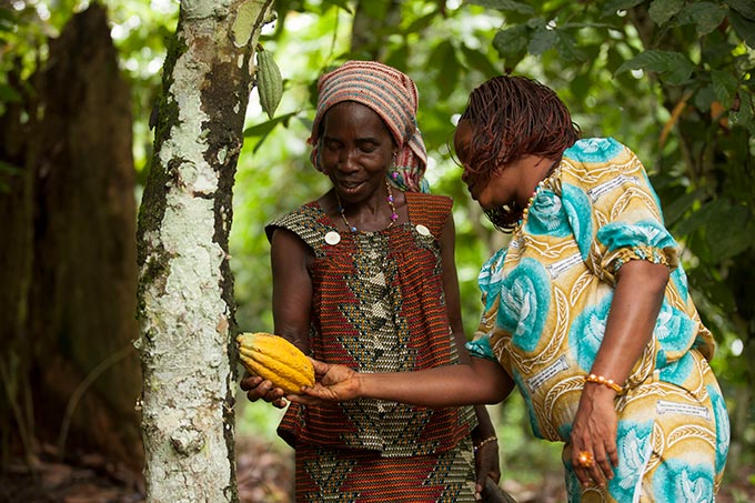 Das Familienunternehmen Mars investiert rund 1 Milliarde US-Dollar, um die Transformation und Verbesserung der Kakaolieferkette voranzutreiben: zum Schutz von Kindern, dem Erhalt von Wäldern und für mehr Einkommen für die Kakaobäuerinnen und -bauern. Foto. Mars Wrigley