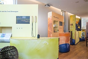 Im multimedialen Tee-Museum erleben Besucher einen Streifzug durch die viele Jahrtausende alte Tee-Geschichte. Foto: Meßmer